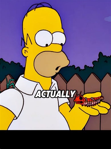 Annoying Bug Disrupts Homer's Koi Pond