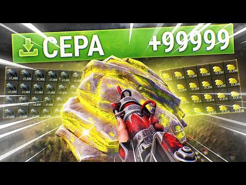 Раст, но у меня Рейты Х1000! Купил VIP на Х1000 сервере в Rust/Раст