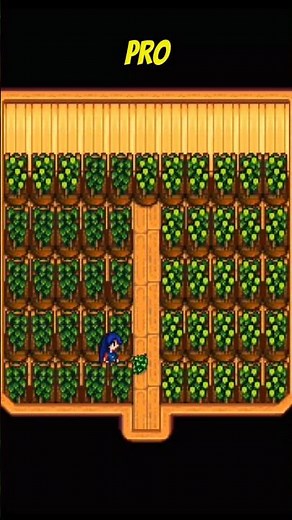 How beginners and pros handle hops crops in Stardew Valley #stardewvalley #shorts #games