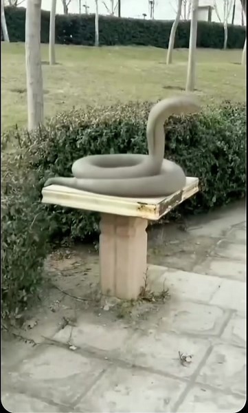 Reacting to a Scary Snake Jumpscare | Funny Memes Compilation
