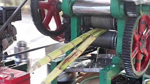 Video cropped hands using technic machine for sugarcane processing, juice production with rotating walk through element Stock Video