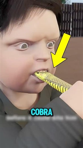 How Cobra Venom Is Collected One Mistake Can Be Fatal 😱