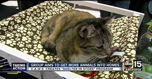 Groups expanding adoptable pets in Valley stores