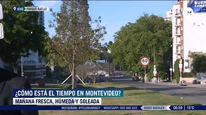 🙌🏻 ¡Muy buenos días! ☀ El jueves nos regala una mañana soleada, húmeda y un poco fresca 👏🏻 ¡Buena jornada para todos! 🙂 | Telemundo