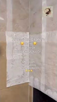 The Ultimate Guide to Removing Black Mold with Hydrogen Peroxide: No Scrubbing, No Harsh Chemicals!