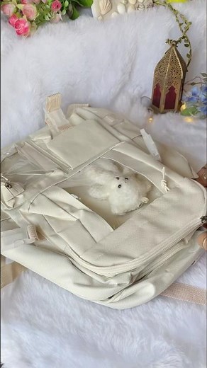 Meesho Korean bagpack for girls 🎀🫶 #ytshorts #shorts #meesho #meeshofinds #bagpack #girls #korean