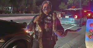 Wild night of fiery sideshows in Vallejo ends in death and injury