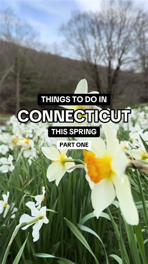 Fun Things To Do In Connecticut This Spring at Laurel Ridge Farm