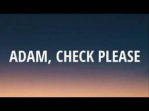 Owl City - Adam, Check Please (Lyrics)