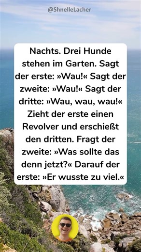 Hund wusste zu viel 🔫