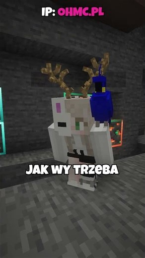 Po co Ci te rogi w Minecraft!?