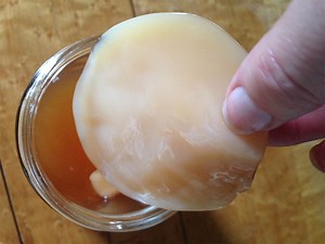 Help! My SCOBY Is UGLY and Other Common Issues