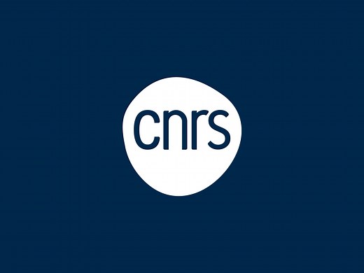 Centre national de la recherche scientifique (CNRS)