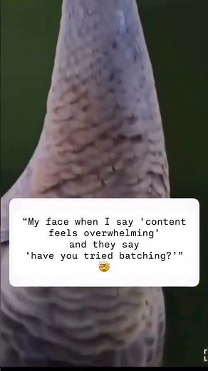 Batch create your content #contentcreation #contentplanning #socialmedia