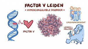 Video: Factor V Leiden - Video Explanation! | Osmosis | Osmosis