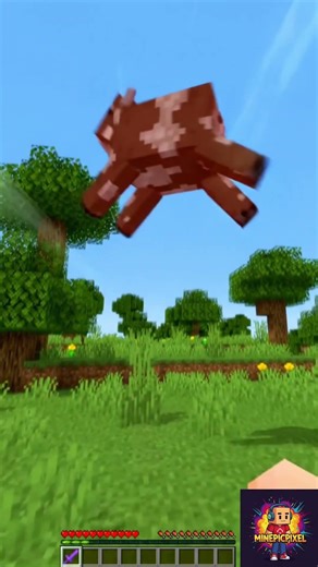 Minecraft But I Have Knockback 255
