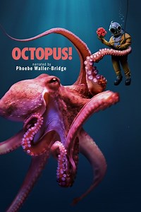 Octopus! Summary, Trailer, Season List, Cast, Where to Watch and More