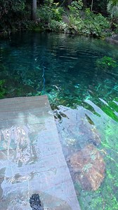 Blue Spring 👌🏻💙 | Destinos Mato Grosso do Sul