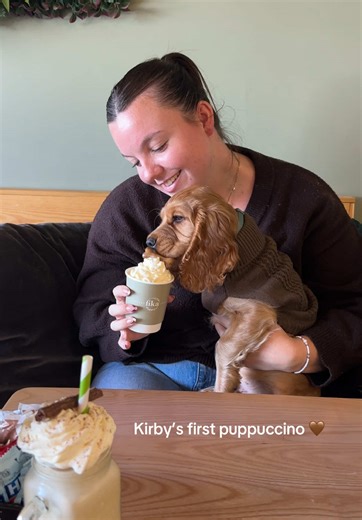 Kirby's First Puppuccino Experience