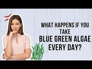 What Happens If You Take Blue Green Algae every day?