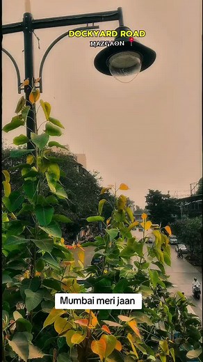 #aamchimumbai♥️#indiatiktok🇮🇳#south_africa_tiktok🇿🇦