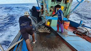 525K views · 4.3K reactions | Kecekapan juragan @ tekong memintas kawanan ikan aya hitam.memerhati kepala kawanan ikan bergerak dan melabuhkan pukat tepat pada sasaran #TRF1440 #bakti06 | Pok Mat Dzuan | Facebook
