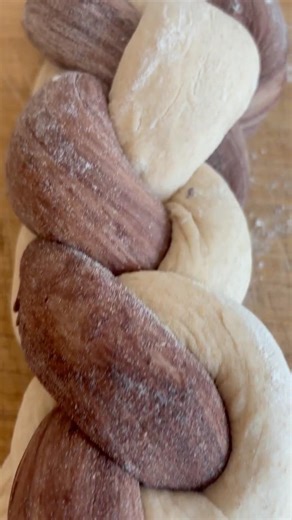 Chocolate Braided Bread 🍫 Easy 2 Strand Braided #baking #food #homemade