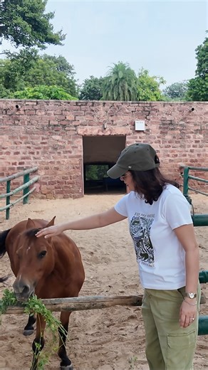 Bal Samand Lake Palace, Jodhpur | Full Tour Video Out Now Here’s a preview of my tour through the Bal Samand Lake Palace — one of Rajasthan’s most beautiful heritage properties. From the palace steps and lakeside views to the Marwari stables, palace farms, gardens, the Maharani Suite and the open-air Kebab Corner — this place is a treasure of history, architecture and culture. The full episode is now LIVE on YouTube. The Full Video Link is in the comments. [jodhpur palace tour, bal samand palace