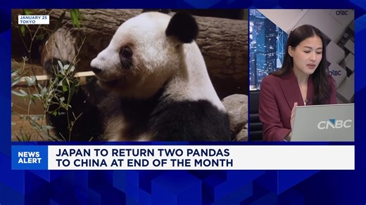 'Panda diplomacy' remains a key soft power tool for China as Japan prepares to return pandas
