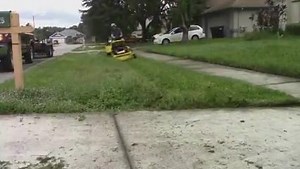 10M views · 186K reactions | www.YouTube.com/c/Something2LookAt This is 5 timelapses from overgrown yard mowing I did. | Something 2LookAt | Facebook