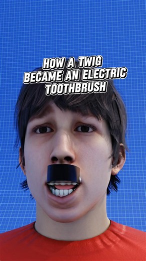 How a Twig Became an Electric Toothbrush