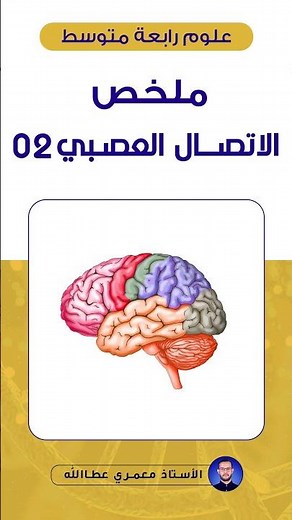ملخص الاتصال العصبي رابعة متوسط | الجزء 02