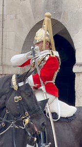 15K views · 162 reactions | Captain Arrives - The Blues and Royals Command Return Swords #TheBluesAndRoyals #ReturnSwords #Fouroclockinspection #HorseGuards #HouseholdCavalry #KingsGuard #BritishArmy #RoyalFamily #RoyalCeremony | The Royal King’s Guards Reel | Facebook