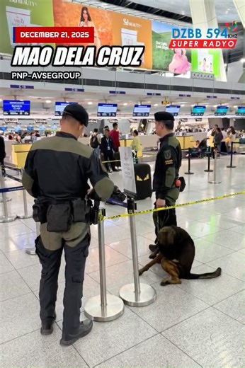 GMA Integrated News on Instagram: "NA-OFFLOAD DAHIL SA BOMB JOKE Isang pasahero na patungong Singapore ang na-offload dahil sa bomb joke sa NAIA Terminal 3 kahapon, Dec. 20. Agad na sinuri ng PNP-AVSEGROUP ang kaniyang bagahe at kinumpirmang walang bomba o anumang mapanganib na bagay roon. Sa kabila nito, napagpasyahan ng pamunuan ng airline na huwag magsampa ng pormal na reklamo ngunit in-offload ang pasahero at isinama sa blacklist na nagbabawal sa kaniya sa mga susunod na biyahe ng airlines. 