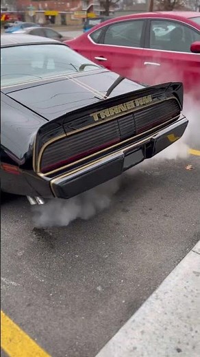 we installed the factory vinyl decals for our awesome customer on this 1979 Pontiac Trans Am
