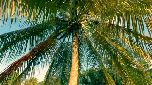 2.1K views · 12 reactions | 便 MEET OUR 2025 COCO PROMO WINNERS! 便 Give it up for the Good Hope Country Day School STEM Club, whose creativity, teamwork, and coconut spirit earned them the top spot in this year’s Stanislaus “Stan” McIntosh Coco Promo Contest! | SCFIA Crucian Coconut Festival | Facebook