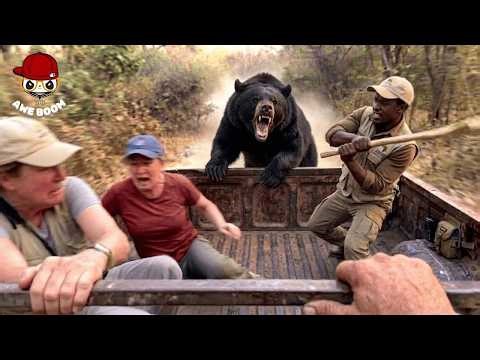 The 70 Most Unforgettable Wildlife Moments Ever Captured