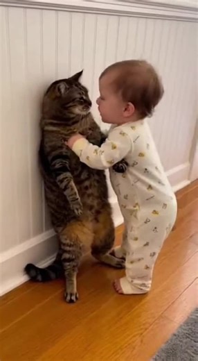 Funny Baby Talk and Cats Compilation