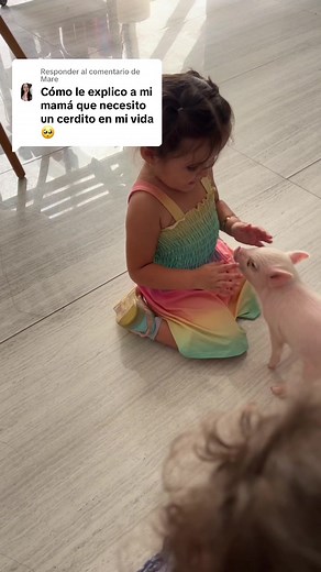 Mini Pigs: El Compañero Perfecto para Tu Vida