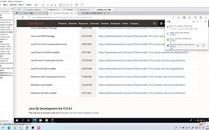 虚拟机如何玩MC