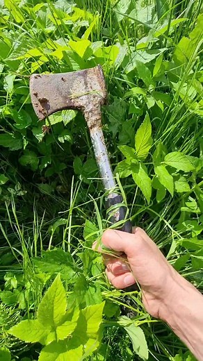 Effective Weed Pulling Tool Demonstration