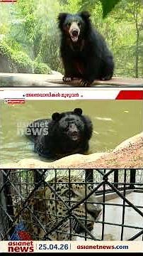 പാമ്പുകൾക്ക് എസി, മറ്റ് മൃഗങ്ങൾക്ക് പഴങ്ങളും കൃത്രിമ മഴയും; പുറത്ത് ചൂടാണ്, പക്ഷേ ഇവര്‍ ചില്ലാണ്...