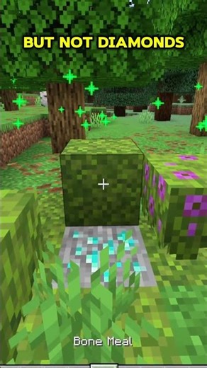 Stop Strip Mining For Diamonds #minecraft