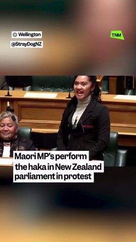 Maori MP Hana-Rawhiti Maipi-Clarke does the Haka in New Zealand parliament