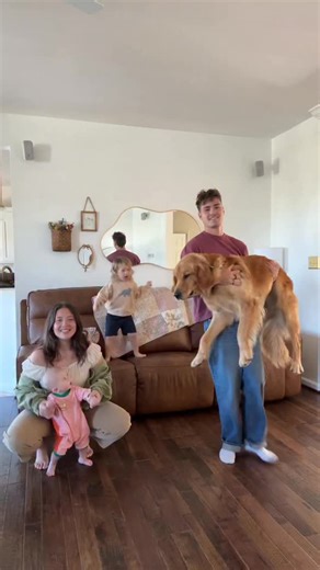 Addie McCracken on Instagram: "BANJOS BIRTHDAY MONTH🦮🐾🦴🎂🎈"