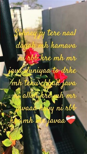 josh brar s/o raj brar ##sohney jy tere naal ##rbb kre mh mr java #punjabi lyrics