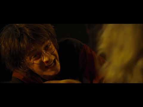 Harry Potter And The Goblet Of Fire: Cedric Diggory's Death (2005)
