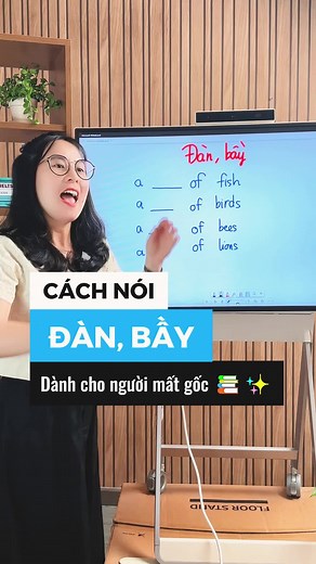 Đàn, Bầy học tiếng Anh qua từ vựng này cùng Ms. Sang #tienganhgiaotiep #tienganhmoingay #tienganhcoban #tienganhmatgoc #tienganhkhongkho #tuvungtienganh #mssang #learnontiktok #hoccungtiktok #nguphaptienganh #phanxatienganh #reviewtrungtamtienganh #tienganhdanhchonguoidilam