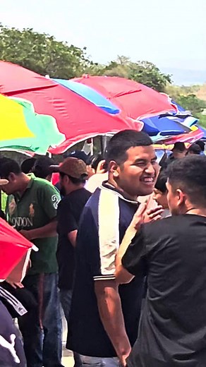 Swift sport Vs Golf Gti | Zc33s.ctza