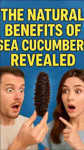 The Natural Benefits of Sea Cucumber Will Shock You!